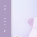 MULTIFUND