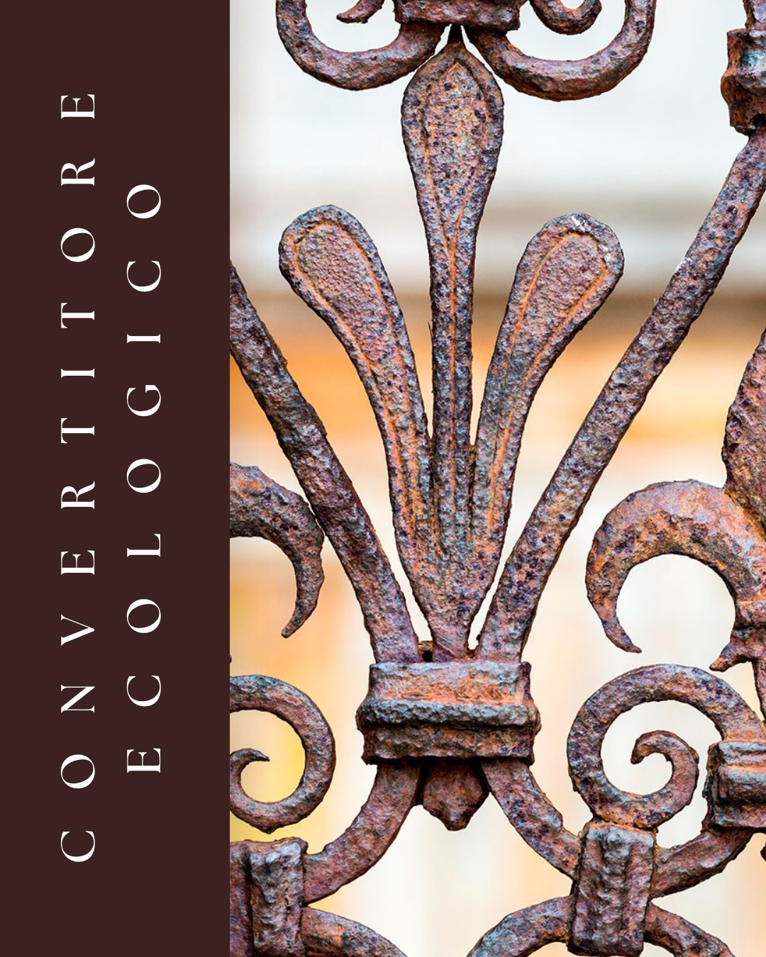 CONVERTITORE ECOLOGICO