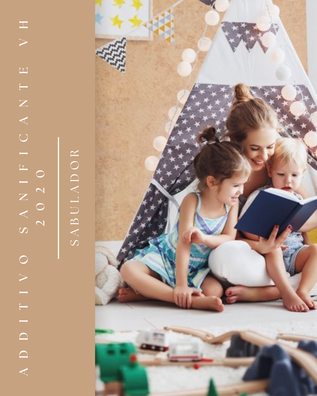 ADDITIVO SANIFICANTE VH 2020